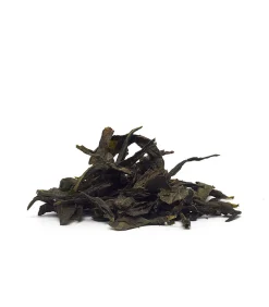 Fairy Oolong