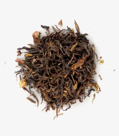 Nilgiri Frost