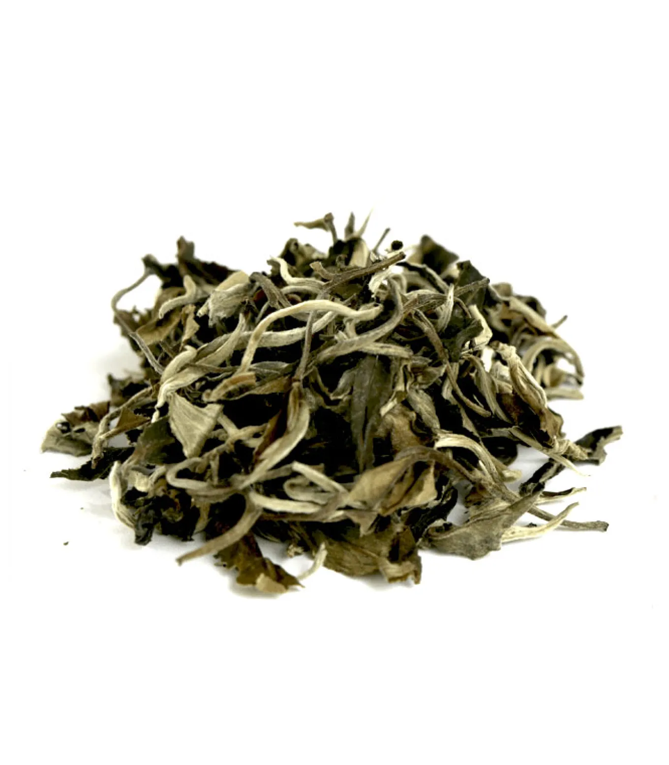Yunnan vita vingen